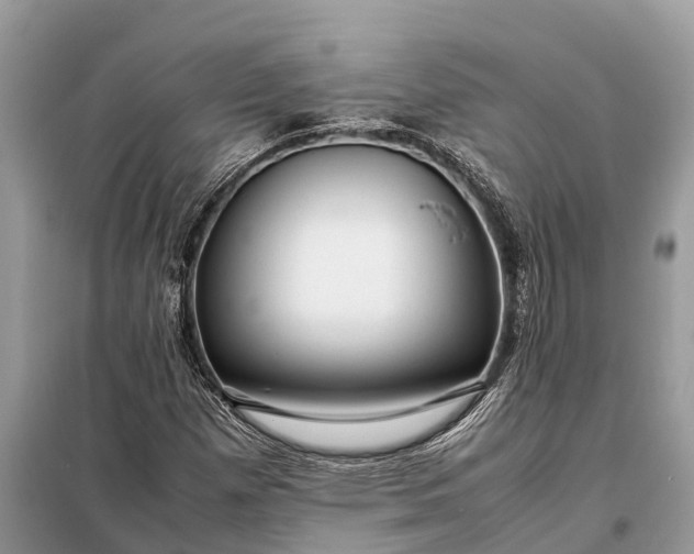 X0000098221257200805081150