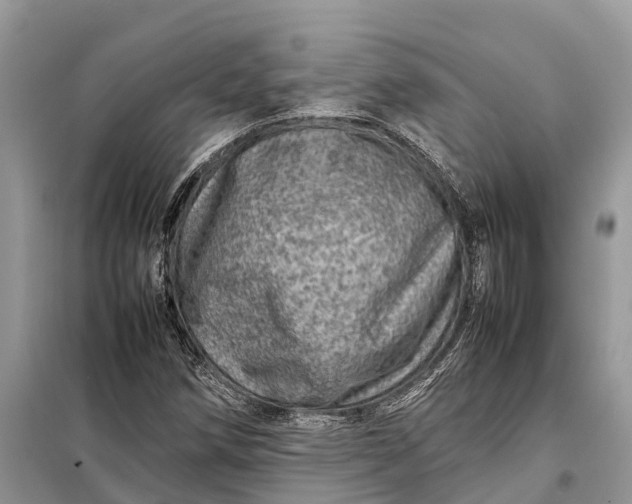 X0000098221258200805081150