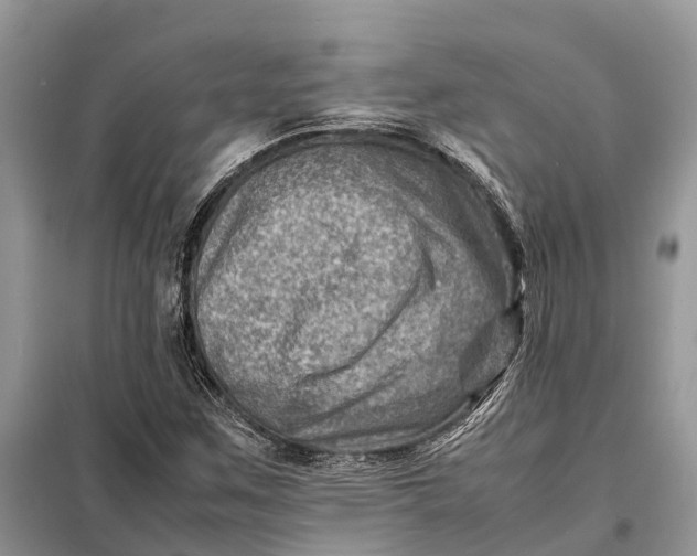 X0000098221259200805081150