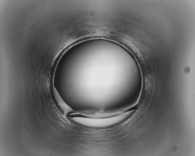 X0000098221260200805081150