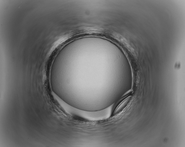 X0000098221261200805081150