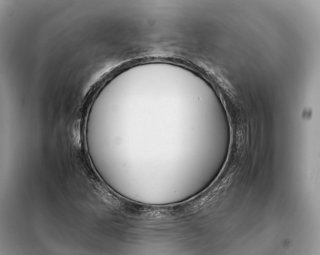 X0000098221262200805081150