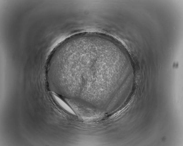 X0000098221263200805081150