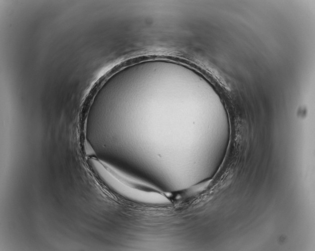 X0000098221264200805081150