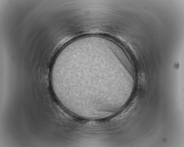 X0000098221265200805081150