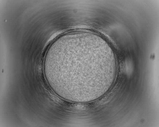 X0000098221266200805081150