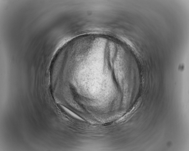 X0000098221267200805081150