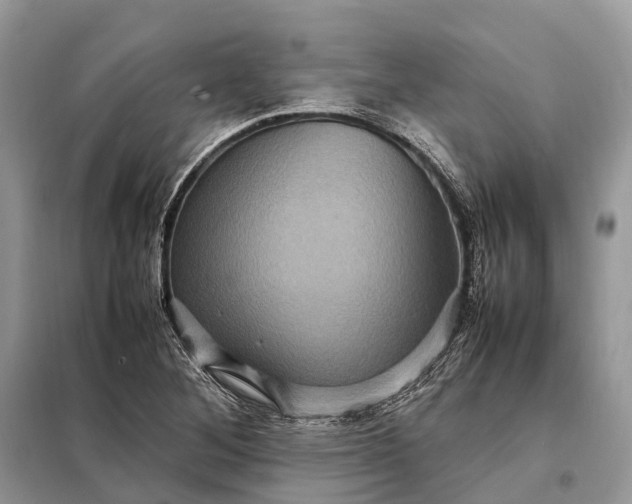 X0000098221268200805081150