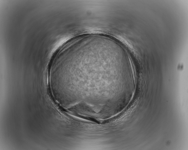 X0000098221269200805081150