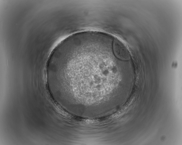 X0000098221271200805081150