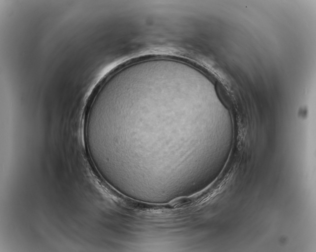 X0000098221272200805081149