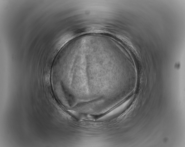 X0000098221273200805081149