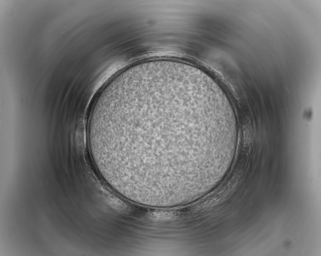 X0000098221274200805081149