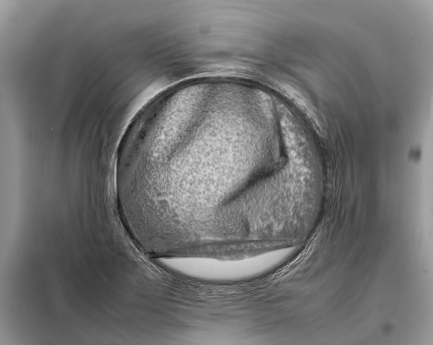 X0000098221275200805081149