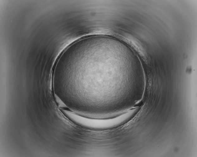 X0000098221276200805081149