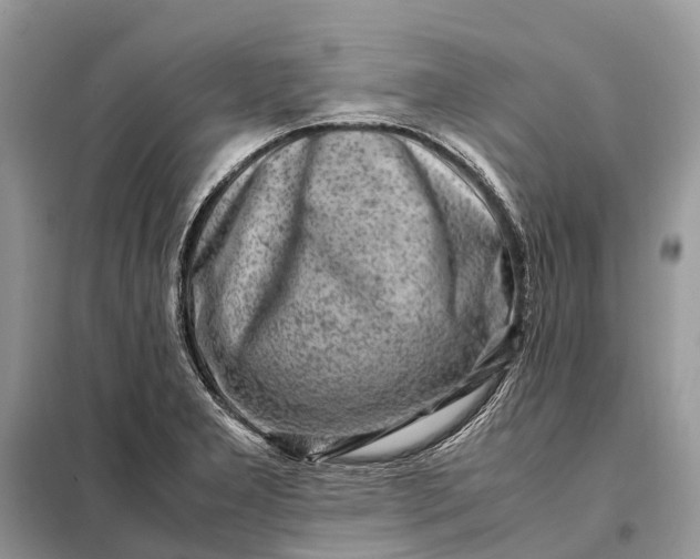 X0000098221277200805081149