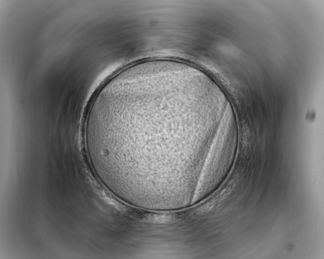 X0000098221278200805081149