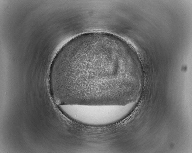 X0000098221279200805081149