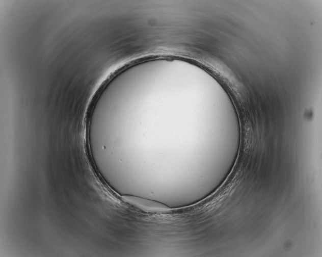 X0000098221280200805081149