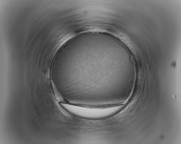 X0000098221281200805081149