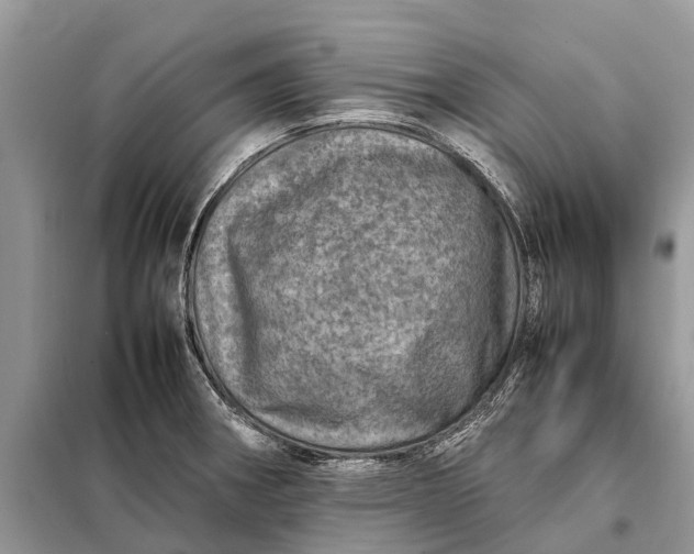 X0000098221282200805081149