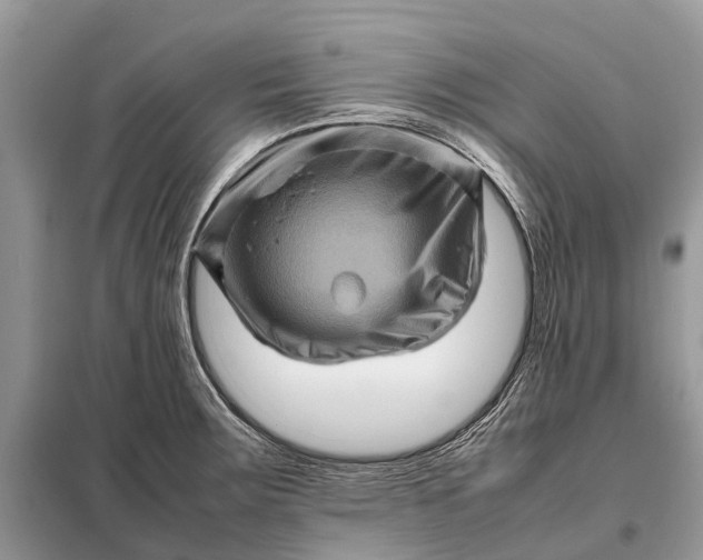 X0000098221283200805081149