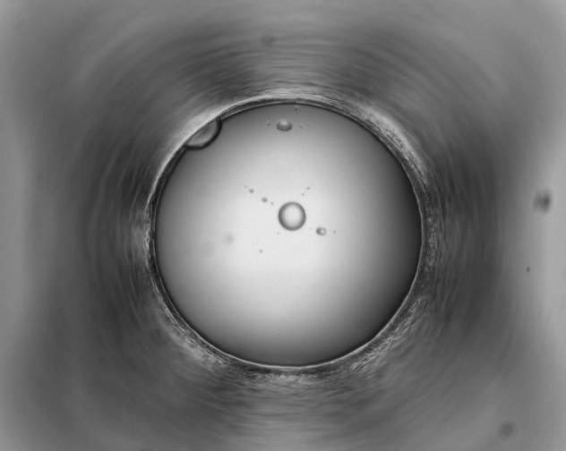 X0000098221284200805081149