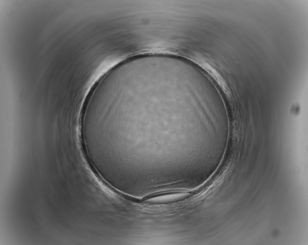 X0000098221285200805081149