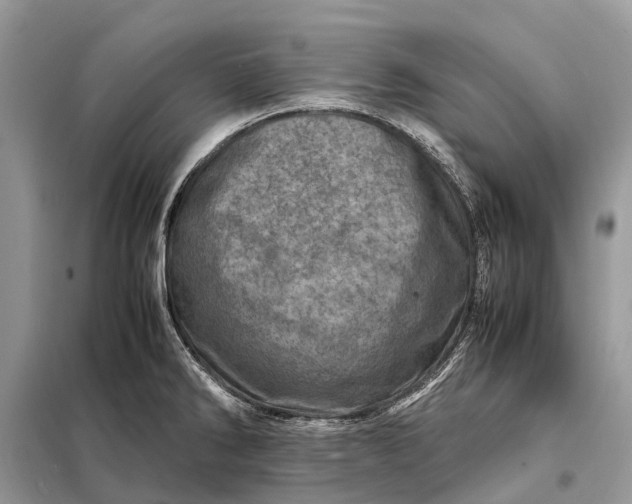 X0000098221286200805081149