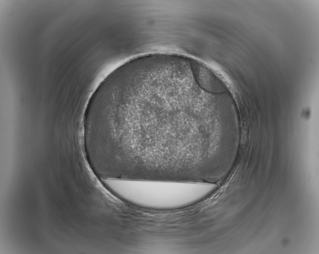 X0000098221287200805081149