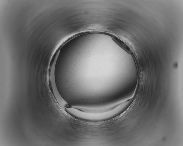 X0000098221288200805081149