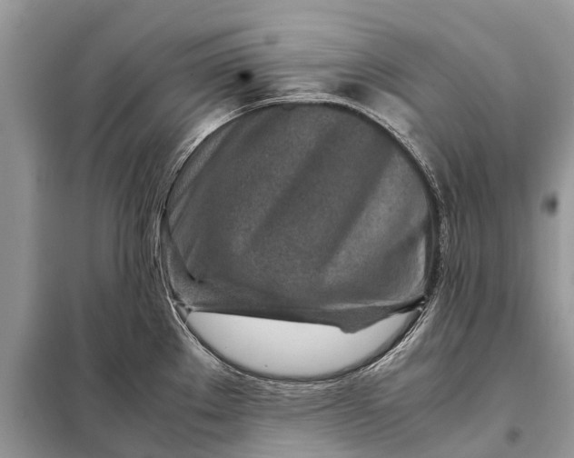 X0000098221289200805081149