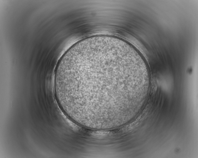 X0000098221290200805081149