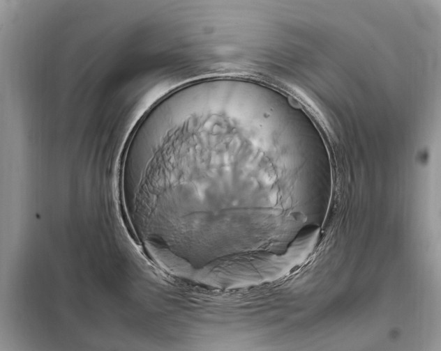 X0000098221291200805081149