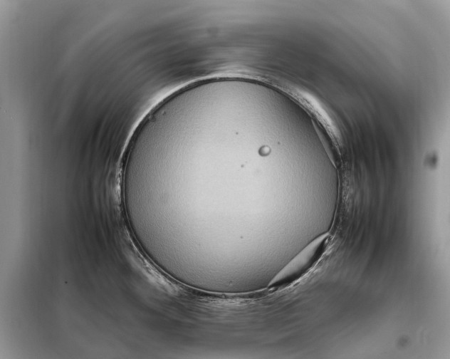 X0000098221292200805081149