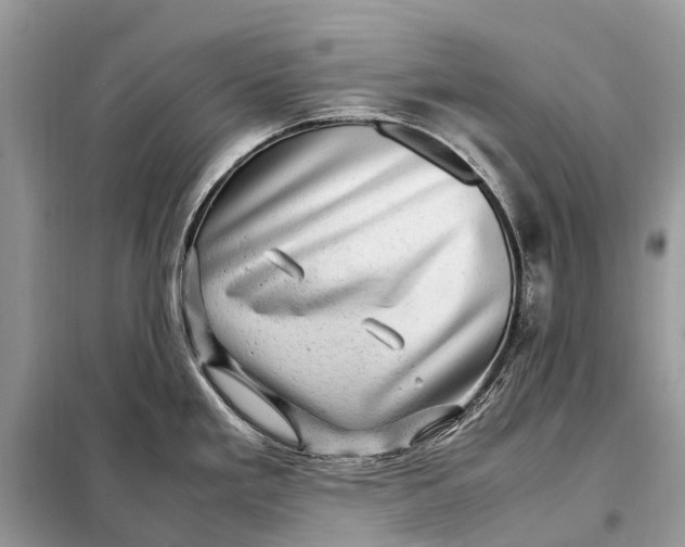 X0000098221293200805081149