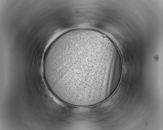 X0000098221294200805081149