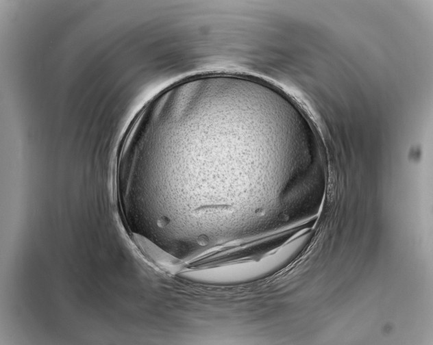 X0000098221295200805081149