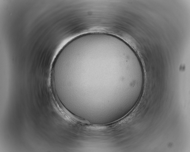 X0000098221296200805081149