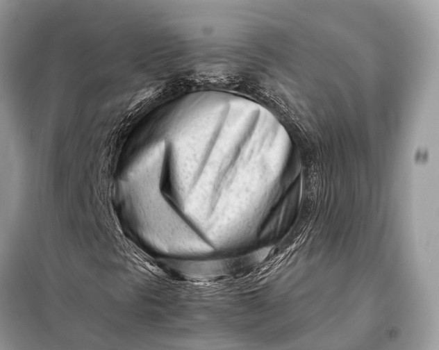 X0000098221297200805081148