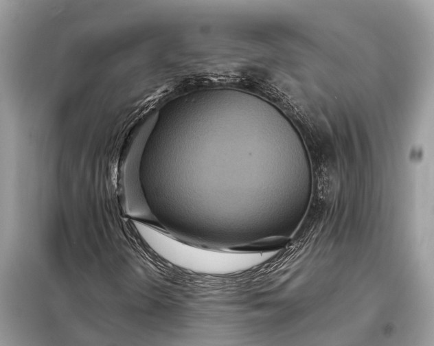 X0000098221298200805081148