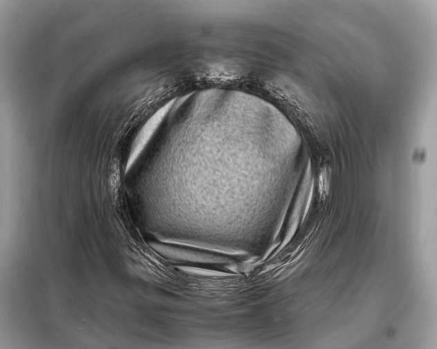 X0000098221299200805081149