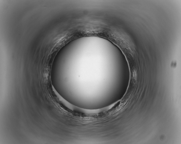 X0000098221300200805081149