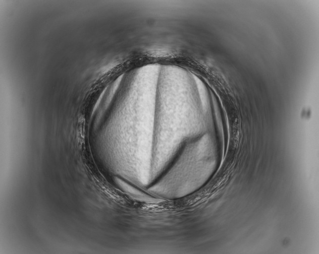 X0000098221301200805081149