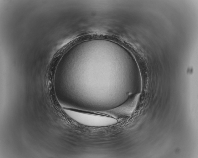 X0000098221303200805081149