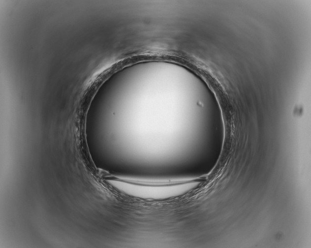 X0000098221304200805081149