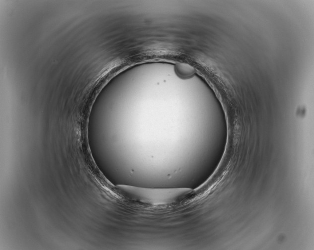 X0000098221305200805081149