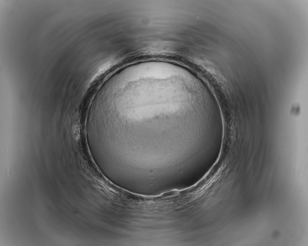 X0000098221306200805081149