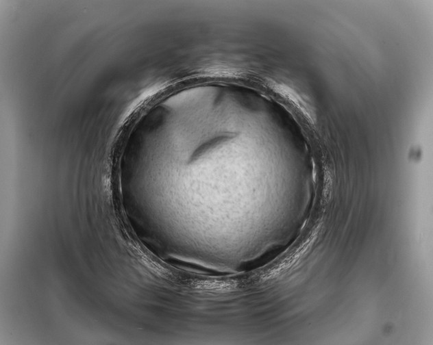 X0000098221307200805081149