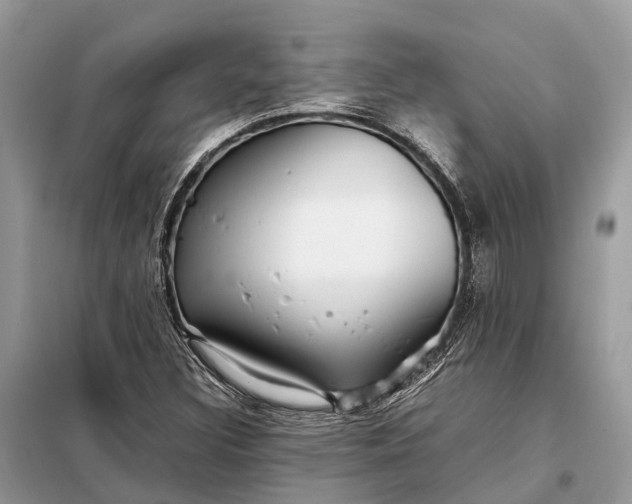 X0000098221308200805081149